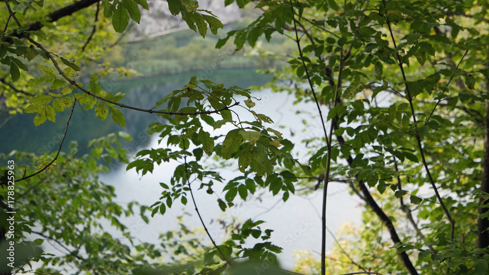 amazing landscape at the plitvice lakes in croatia amazing landscape at the plitvice lakes in croatia
