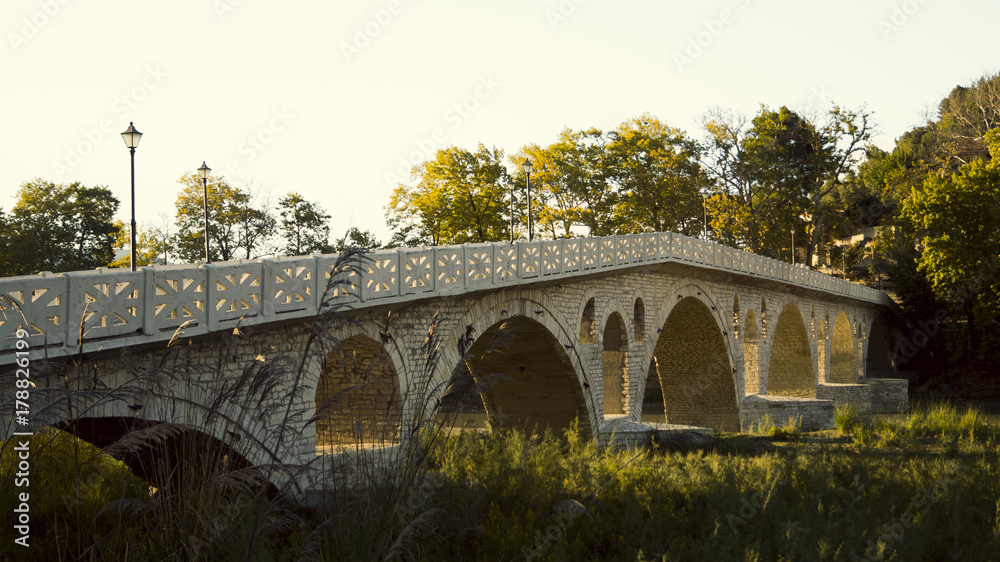 Fototapeta premium Gorica Bridge