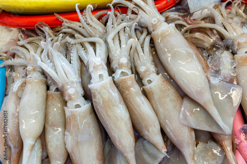 Fresh group of squid on ice, Fish local market stall with fresh seafood in Thailand