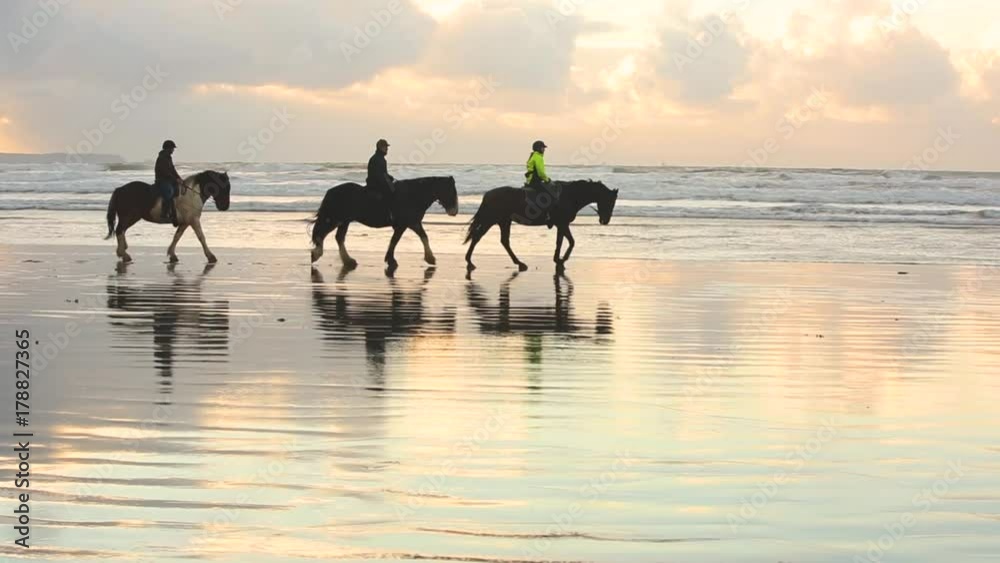 People riding horses on the beach at sunset