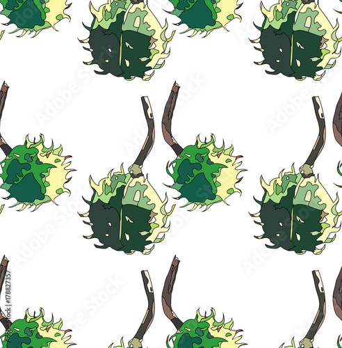 Beautiful wonderful graphic bright floral herbal autumn green chestnuts pattern vector illustration.  Perfect for textile, wallpapers, wrapping paper, greeting cards