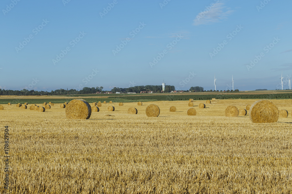 Fototapeta premium Yellow wheat field with straw bales after harvesting on a sunny day in Normandy, France. Country landscape, agricultural fields in summer. Environment friendly farming, industrial agriculture concept