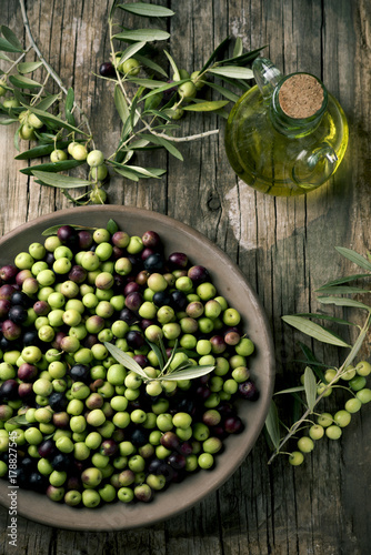 arbequina olives from Spain photo