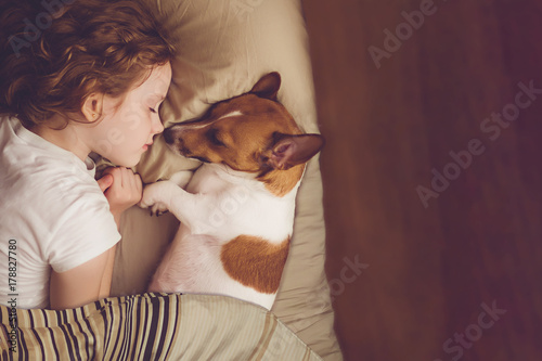 Fototapeta Słodka kręcone dziewczyna i pies Jack Russell śpi w nocy.