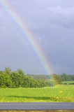 rainbow in country field 