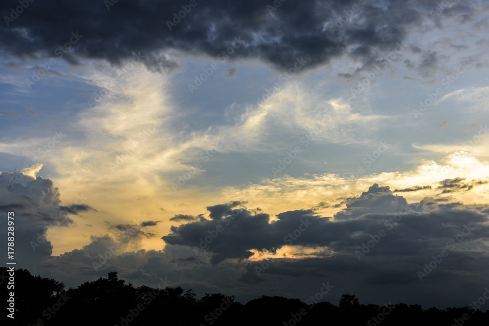 Obraz premium Cloudy sky group with condensation and forest in evening before sunset and raining.