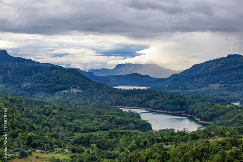 Scenic view of Srilankan mountain forest © Yakov