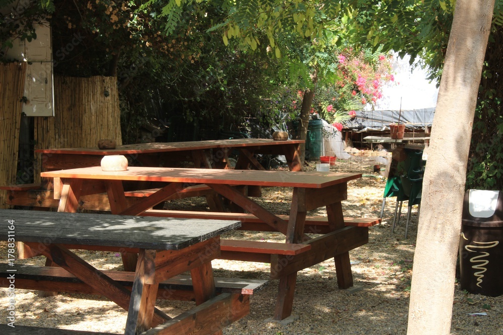 Wooden benches in a park