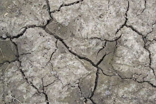 cracks on the ground. Drought in summer