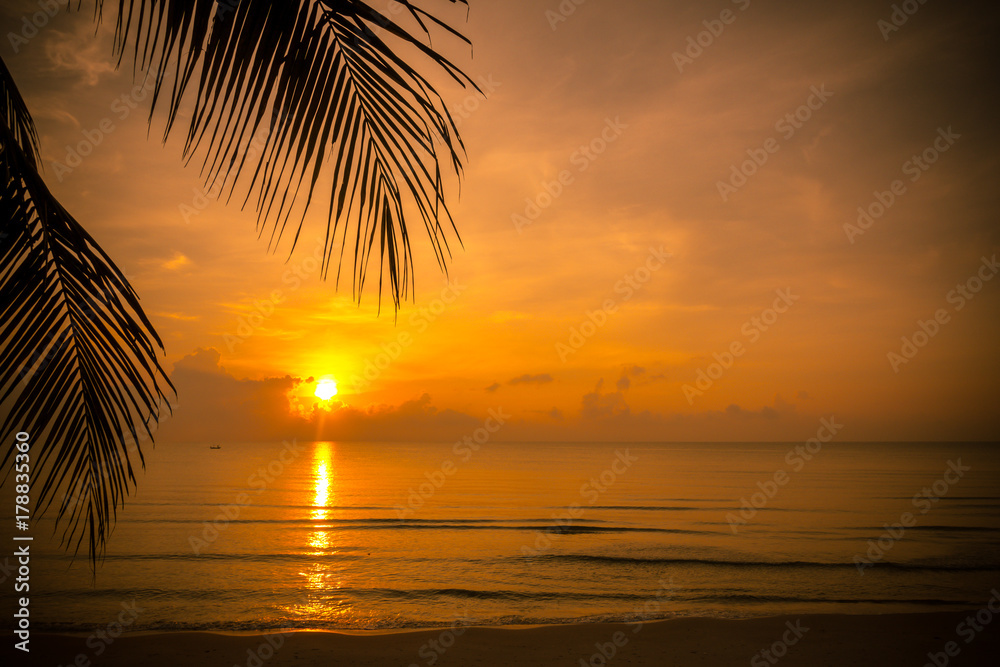 Golden sun set in tropical hot summer beach with palm leaf in foreground in thailand, golden special effect.