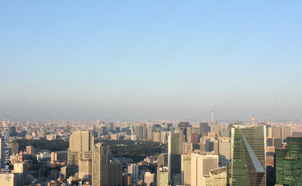 Fototapeta premium 日本の東京都市景観「青空と皇居周辺の街並みを望む」