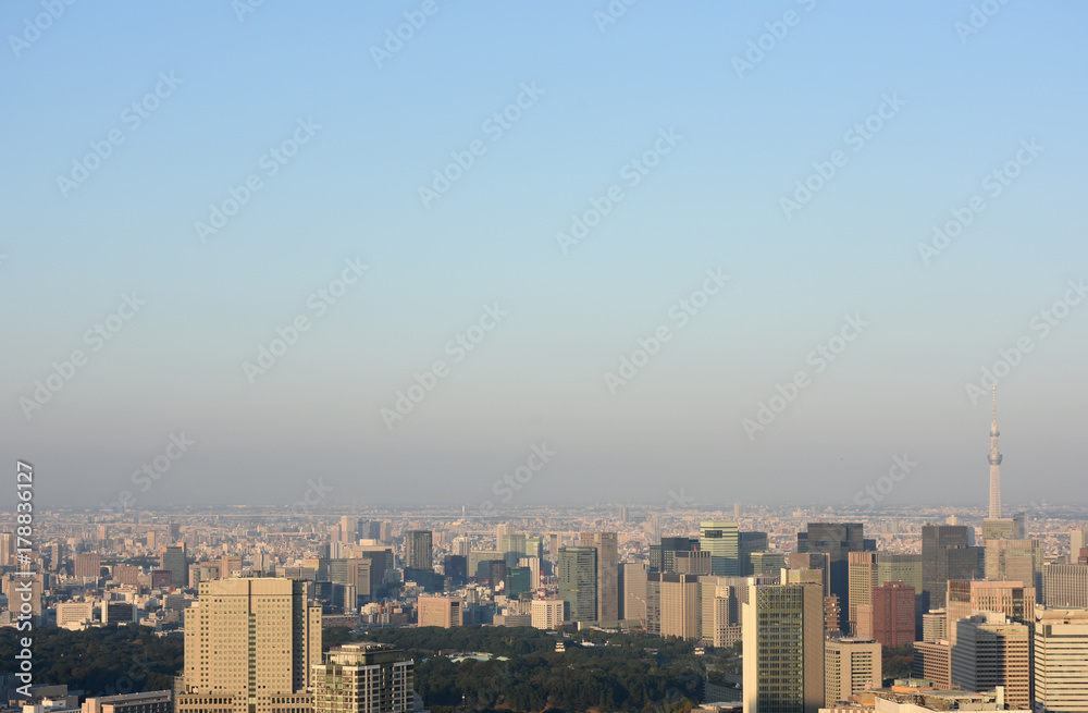 日本の東京都市風景「青空と眼下に広がる高層ビル群」（皇居、そして大手町や丸の内などのビジネス街を望む）