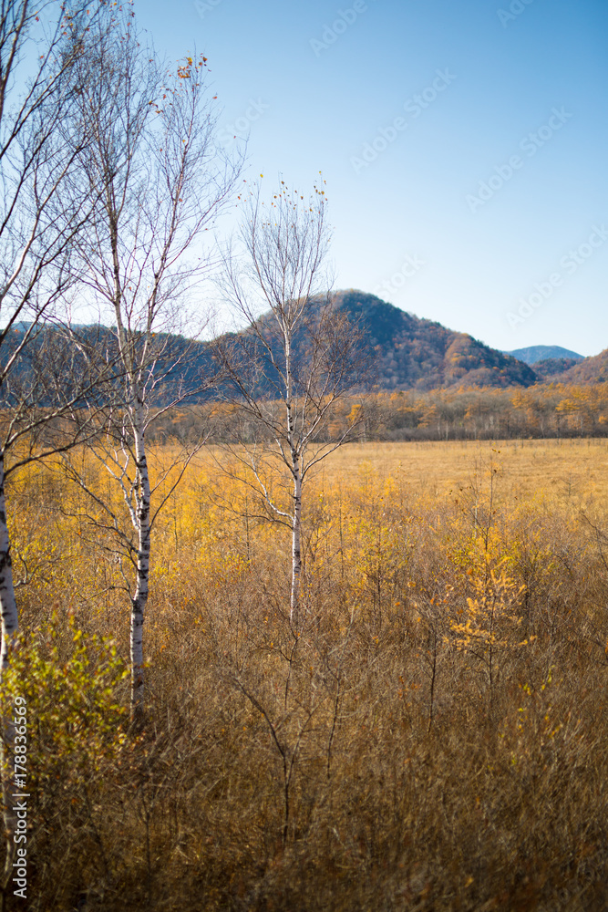 Obraz premium 日光の美しい風景