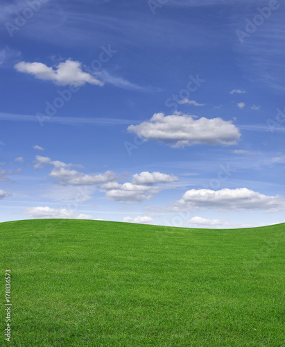 Green grass field and blue sky.