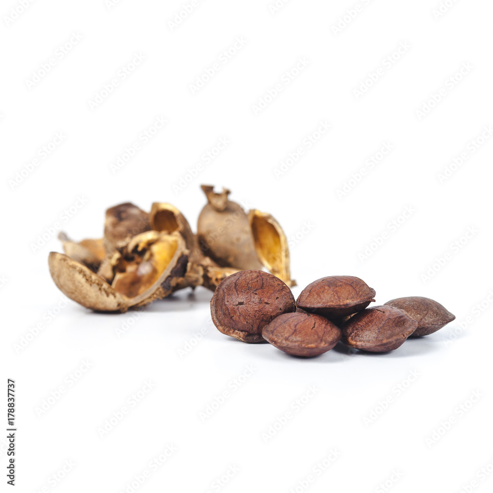 Obraz premium dry Inca peanut on white background