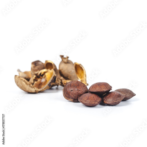  dry Inca peanut on white background