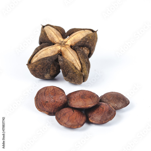 dry Inca peanut on white background