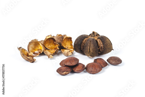 dry Inca peanut on white background