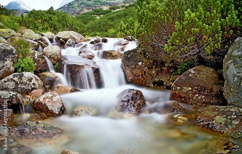 Fototapeta Naklejka Na Ścianę i Meble -  The water of a mountain river with rocks and dwarf-pine near the waterfall Skok in the High Tatras. Beautiful Slovakia.
