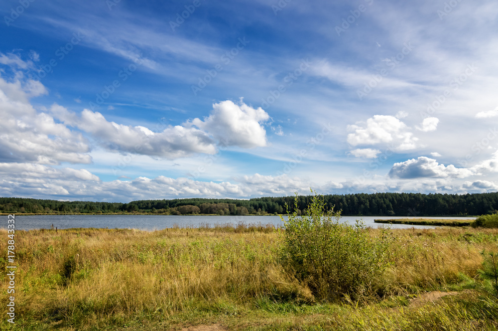 летний пейзаж на берегу с камышом, Россия, Урал