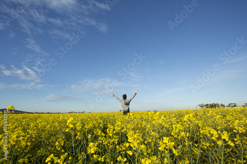 Person Standing in Canola Field