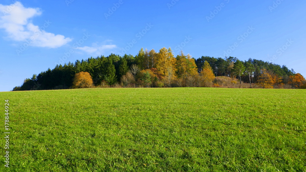 bewaldete Bergkuppe in sonniger Herbstfärbung