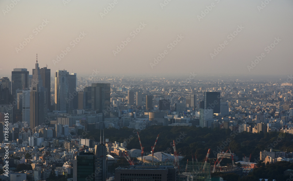 Obraz premium 日本の東京都市景観「新宿区の高層ビル群などを望む」