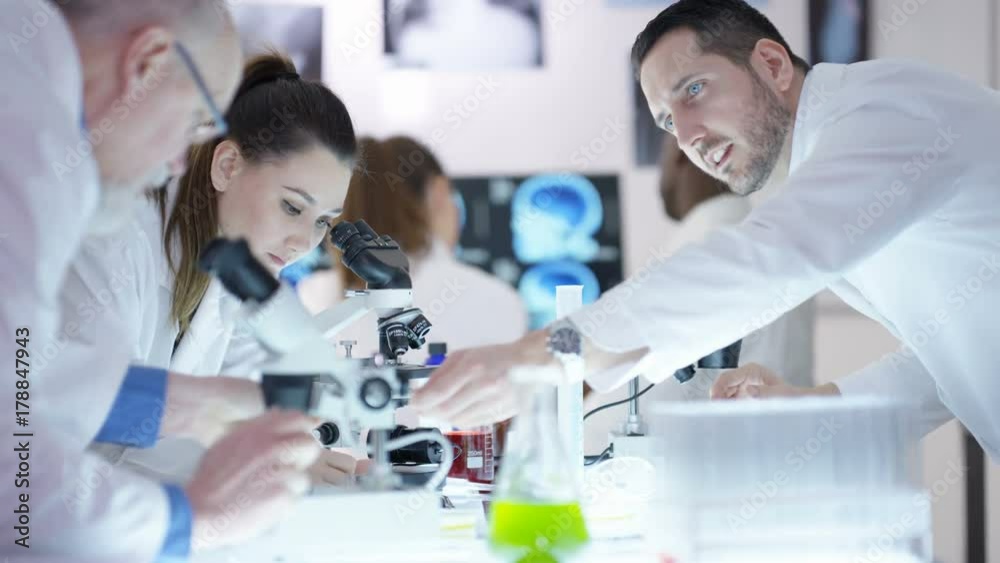 Scientific research team in the lab, looking into microscopes and discussing results. Senior scientist working with young researchers. Scientific research team in the lab, looking into microscopes and discussing results. Senior scientist working with young researchers.