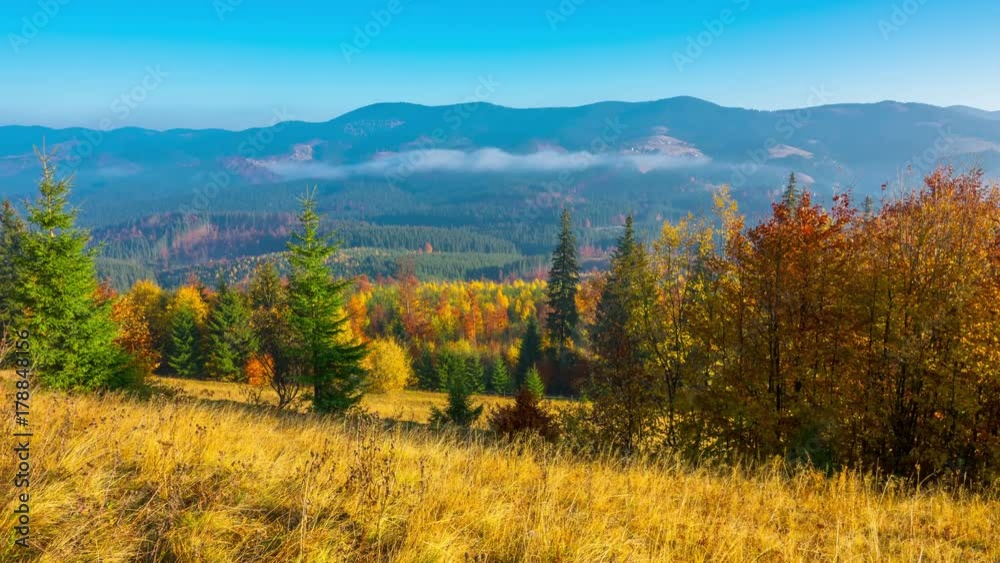 Autumn. Misty Morning in the Mountains with a Young Firs in the Foreground and Fog in the Background. Timelapse. 4K.
Autumn. Misty Morning in the Mountains with a Young Firs in the Foreground and Fog in the Background. Timelapse. 4K.