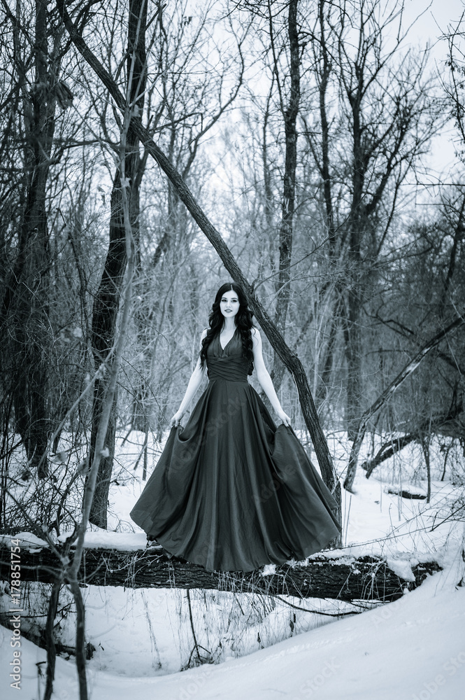 A young woman in an elegant burgundy evening dress in winter among trees and snow conceals a riddle A young woman in an elegant burgundy evening dress in winter among trees and snow conceals a riddle
