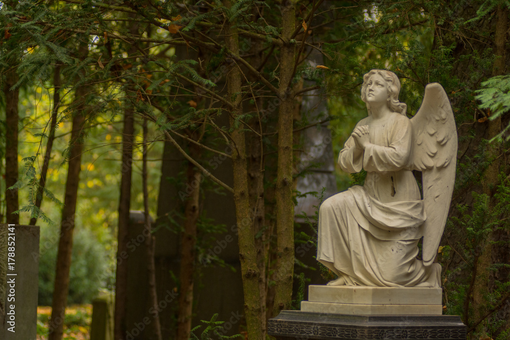 Angel Sculpture on Graveyard