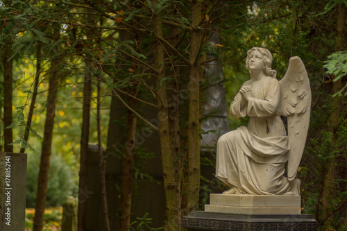 Angel Sculpture on Graveyard