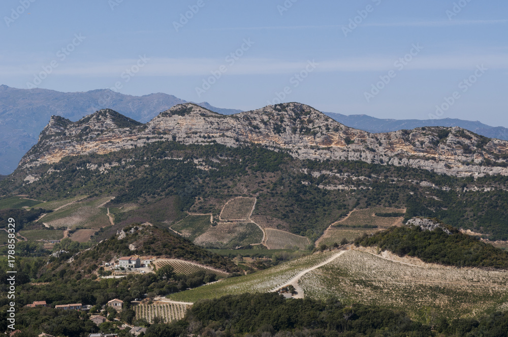 Corsica, 28/08/2017: vista panoramica del paesaggio selvaggio dell'Alta Corsica con le montagne circondate da colline verdi, vigneti e campi di grano