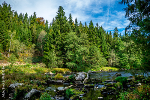 Naklejka Drzewa z trawą i rzeką w jesieni w bavarian lesie