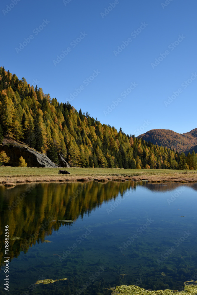 montagna autunno colori autunnali lago alberi natura panorama paesaggio riflesso lago Alpi Trentino paesaggistica foto paesaggi 