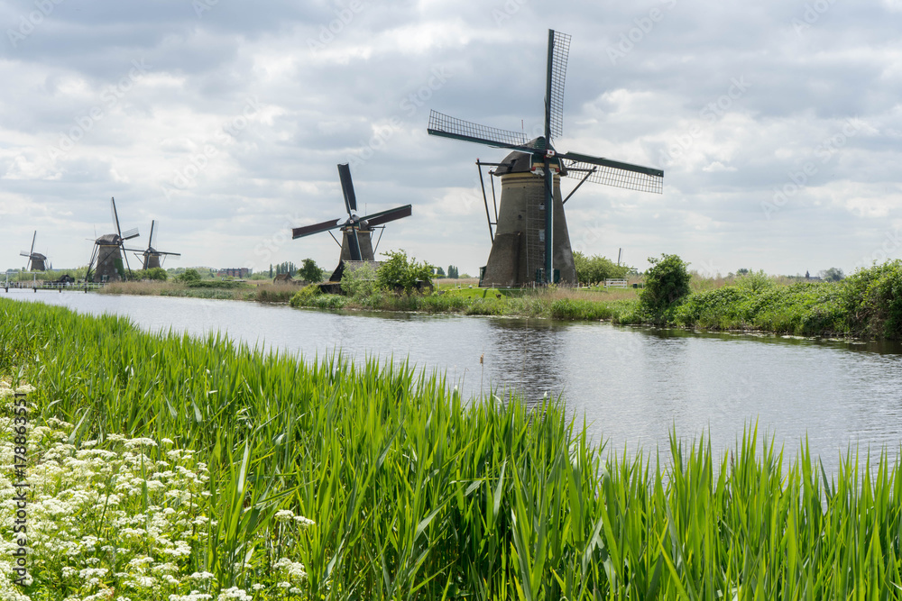 Windmill in Kinderdijk, Netherlands Windmill in Kinderdijk, Netherlands