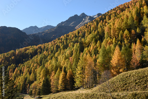 paesaggio autunnale montagna lago montagne colori alberi foglie vallata Alpi maso baita  photo