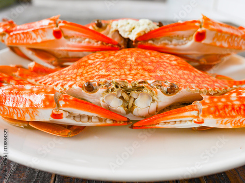 boiled crab photo