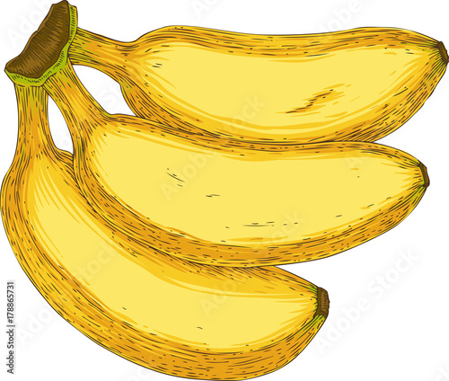 Three Ripe Yellow Banana