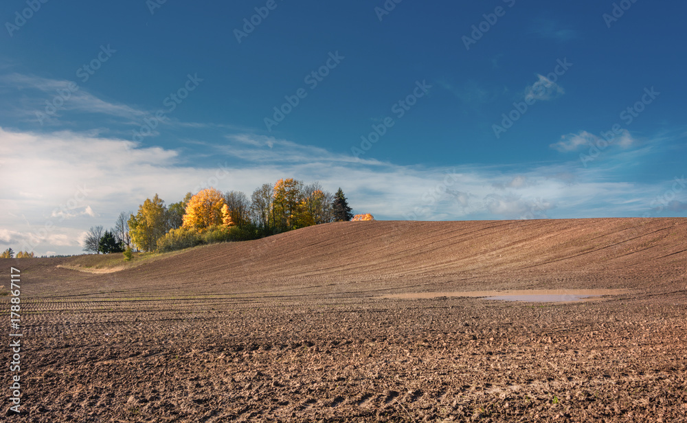 Autumn field.