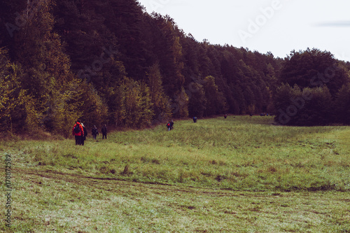 People hiking in the forest