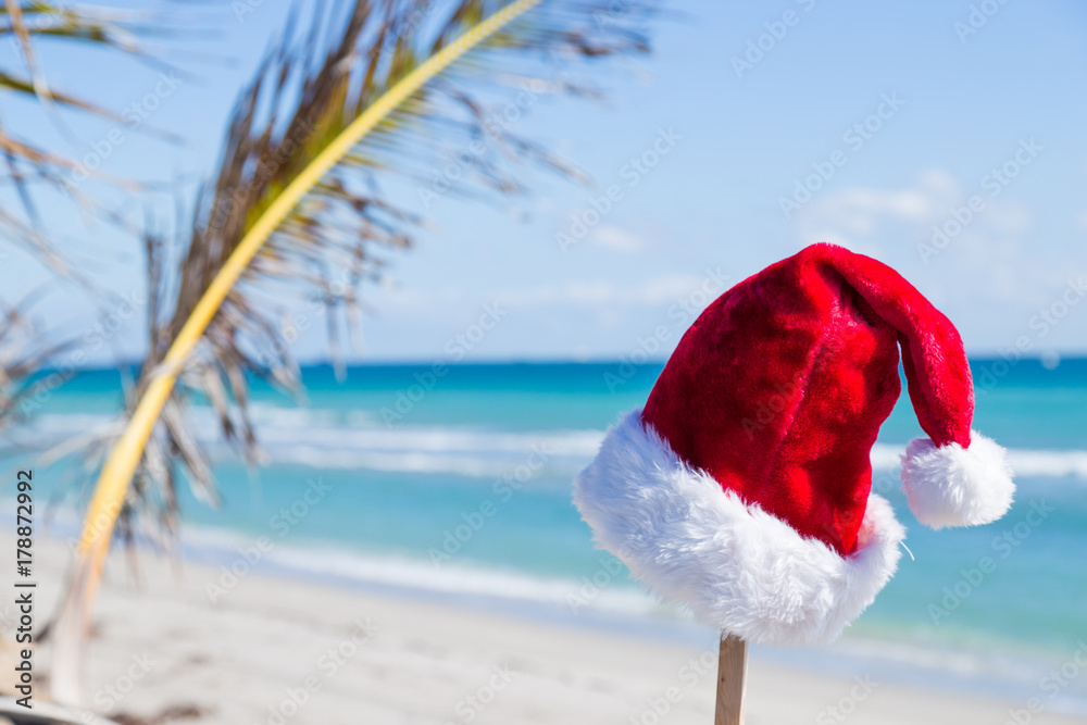 Santa hat and palm leaf at the beach. Santa hat and palm leaf at the beach.