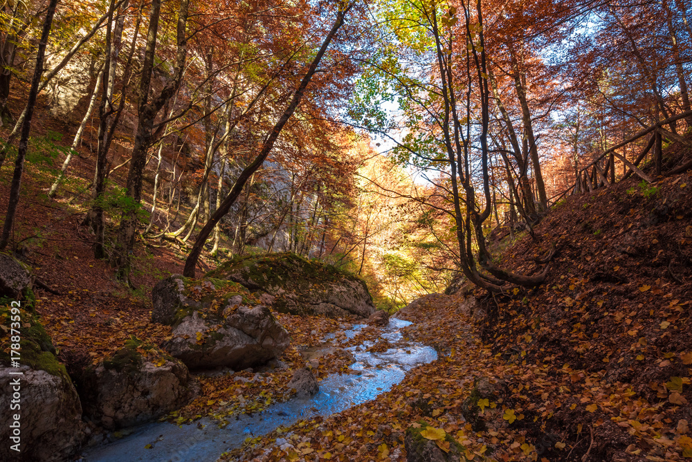 National Park of Abruzzo, Lazio and Molise (Italy) - The autumn with foliage in the italian mountain natural reserve, with little old towns, the Barrea Lake, Camosciara, Forca d'Acero, Val Fondillo National Park of Abruzzo, Lazio and Molise (Italy) - The autumn with foliage in the italian mountain natural reserve, with little old towns, the Barrea Lake, Camosciara, Forca d'Acero, Val Fondillo