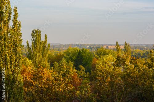 Fototapeta Naklejka Na Ścianę i Meble -  Autumn landscape with trees in sunlight