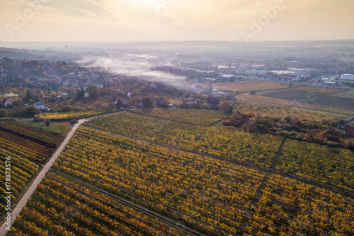 aerial view of vineyard