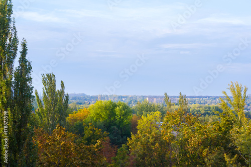 Autumn landscape with trees in sunlight