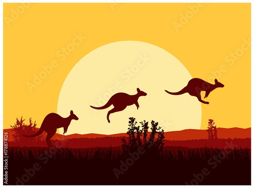  Australian desert. Silhouette of kangaroo. Sunset.