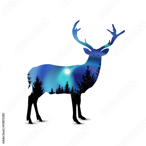 Silhouette of wild deer with coniferous trees on the background of colorful sky.   Night. Northern lights.