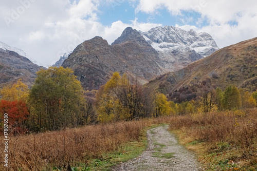 Landscape with dirt road in the mountain forests in the golden autumn. Caucasus, Dombay © Igor Gorshkov