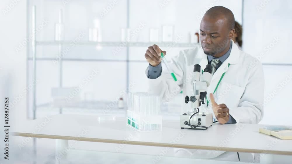 Research scientist working in laboratory, looking at sample under microscope. Research scientist working in laboratory, looking at sample under microscope.